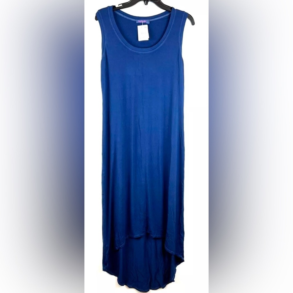 Fresh Produce Women’s Blue Sleeveless Hilo Maxi Dress Size M